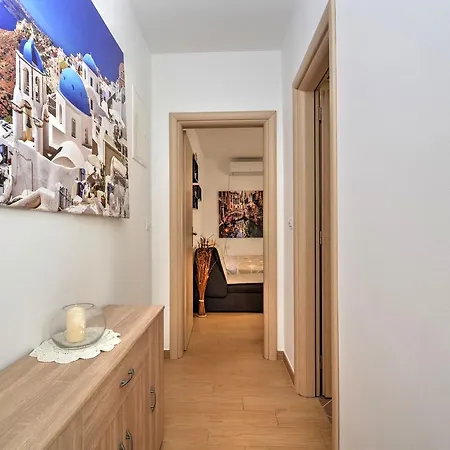 Steluta 1 Apartment