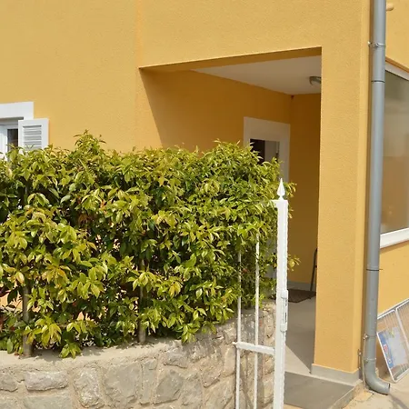 Steluta 1 Apartment