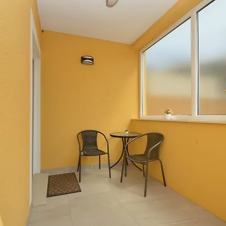Apartment Steluta 1
